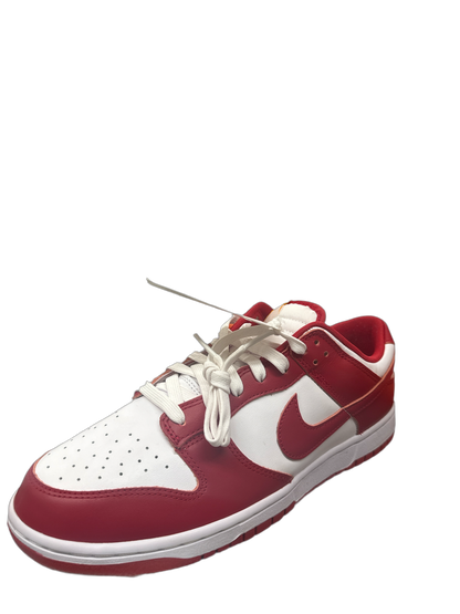 Nike SB Dunk Used